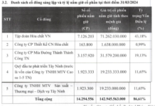 Vinachem Secures Over 101 Billion VND by Fully Divesting from SOFAVI via Auction