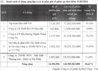 Vinachem Secures Over 101 Billion VND by Fully Divesting from SOFAVI via Auction