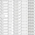 107 Motorcycles Caught on Sidewalks: Submit Fines Promptly Under Decree 168