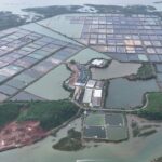 BIM Group Pioneers Green Growth and Sustainable Development Projects in Quang Ninh