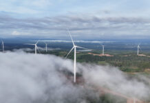 “Green Gold Mine” Across Borders: Bầu Hiển’s Historic Milestone as Clean Energy Flows from Laos to Vietnam