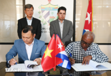 Cuba’s Underground Secret: Vietnam’s Bold Move to Cultivate 2,500 Hectares and Transform It into a “Capital”