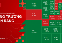 Vietnam’s Stock Market Shows No Signs of a Bubble, with a 75% Probability of Gains in December