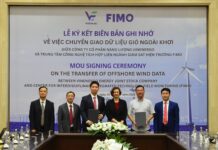 Billionaire Pham Nhat Vuong’s VinEnergo Appoints New Leadership: Former VinaCapital Executive Takes the Helm