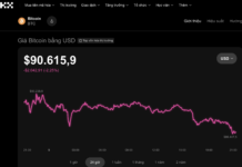 Today’s Crypto Market, December 5th: Bitcoin Remains an Enigma for Investors