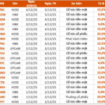 Upcoming Dividend Ex-Dates (Dec 1–5): FPT, CTD, MSH Lead with Cash Dividends, Topping at 40%