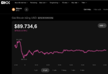 Today’s Crypto Market, December 6: Unusual Bitcoin Activity Spotted on Binance