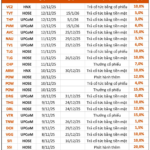 Dividend Ex-Date Schedule December 8–12: Stationery Giant Thiên Long and SSI Gear Up for Payouts
