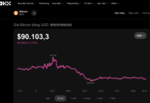 What’s Halting Bitcoin’s Rally in Today’s Crypto Market, December 11?