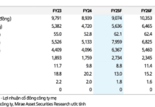 Record Profits Forecast for Vincom Retail in 2025, Driven by Exceptional Capital Gains from Divestment