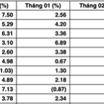 “Stock Market Predicts ‘Tet Wave’: Experts Highlight Top Sectors Poised for Strong Cash Flow”