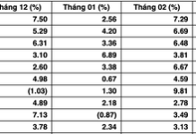 “Stock Market Predicts ‘Tet Wave’: Experts Highlight Top Sectors Poised for Strong Cash Flow”