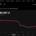Today’s Crypto Market, December 1st: Investors Fear Bitcoin Could Drop to $40,000