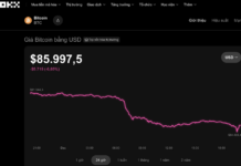 Today’s Crypto Market, December 1st: Investors Fear Bitcoin Could Drop to $40,000