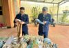 Year-End Crackdown on Counterfeit and Substandard Goods: Nationwide Market Management Authorities Seize Over 2.2 Tons of Medicinal Leaves, Nearly 5 Tons of Contaminated Meat, and Thousands of Violating Products