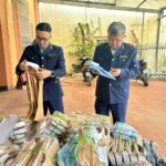 Year-End Crackdown on Counterfeit and Substandard Goods: Nationwide Market Management Authorities Seize Over 2.2 Tons of Medicinal Leaves, Nearly 5 Tons of Contaminated Meat, and Thousands of Violating Products