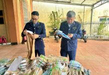 Year-End Crackdown on Counterfeit and Substandard Goods: Nationwide Market Management Authorities Seize Over 2.2 Tons of Medicinal Leaves, Nearly 5 Tons of Contaminated Meat, and Thousands of Violating Products