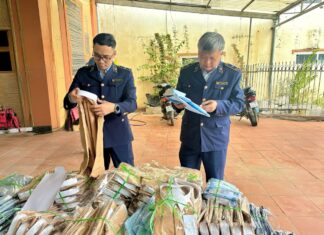Year-End Crackdown on Counterfeit and Substandard Goods: Nationwide Market Management Authorities Seize Over 2.2 Tons of Medicinal Leaves, Nearly 5 Tons of Contaminated Meat, and Thousands of Violating Products