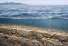 Asia’s Largest Undersea Gold Mine Discovered