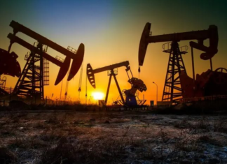 Russia Eyes Strategic Partnership with Asian Nation Post-China, India: Targeting 250 Million Market with Less Than 20% Oil Self-Sufficiency