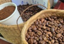 Today’s Coffee Prices (Dec 1): Harvest Rush & Critical Recommendations