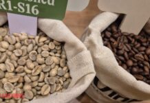 Today’s Coffee Prices (Dec 3): Continuous Decline, No Bottom in Sight