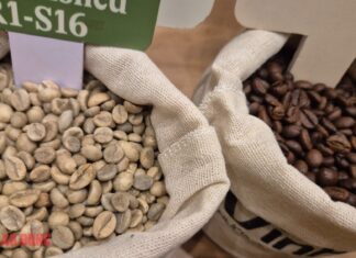 Today’s Coffee Prices (Dec 3): Continuous Decline, No Bottom in Sight