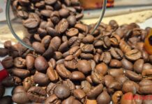Today’s Coffee Prices (Dec 5): Breaking the Downtrend with Positive News from the Top Market