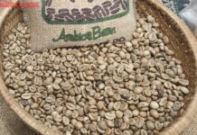 Today’s Coffee Prices (12/10): Breaking the 6-Session Downtrend