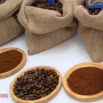 Today’s Coffee Prices (Dec 13): Weekend Plunge Pushes Prices Below 100,000 VND/kg Threshold