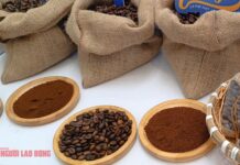 Today’s Coffee Prices (Dec 13): Weekend Plunge Pushes Prices Below 100,000 VND/kg Threshold