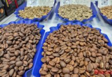 Today’s Coffee Prices (Nov 30): A Week of Surprises