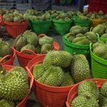 Durian Off-Season Prices Continue to Drop, Causing Farmer Concerns
