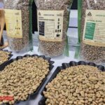 Coffee Prices Today (Dec 16): Breaking Key Thresholds as Germany Spends Over $1 Billion on Vietnamese Coffee Imports