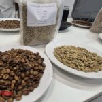 Today’s Coffee Prices (12/17): Sharp Decline Despite Brazil’s Slow Supply Release