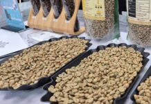 Today’s Coffee Prices (Dec 26): Domestic Surge, China’s Surprise Import Spike