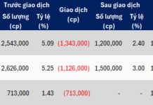 Steel Stock Surges 90% from Lows as Executives Unanimously Register to Divest