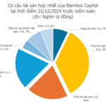 Bamboo Capital Announces Devastating Loss: Estimated 8.4 Trillion VND Deficit Following Legal Turmoil Involving Former Leadership