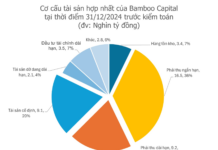 Bamboo Capital Announces Devastating Loss: Estimated 8.4 Trillion VND Deficit Following Legal Turmoil Involving Former Leadership