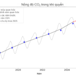 Beyond 1.5°C: When Net Zero Is No Longer the Sole Shield