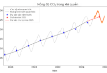 Beyond 1.5°C: When Net Zero Is No Longer the Sole Shield