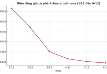 Today’s Coffee Prices (Dec 6): Another Dismal Week