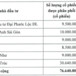 Unveiling the Top 5 Firms Snapping Up Over 48 Million Unsold Shares of Bao Minh Securities