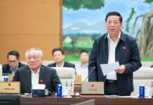 Proposed Government Policies: Tailored Initiatives for the North-South High-Speed Rail Project