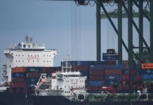 Vietnam-Singapore Trade Continues Record-Breaking Growth Streak