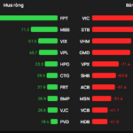 Foreign Block Reverses Flow, Pouring Hundreds of Billions into a Blue-Chip Stock Amid VN-Index’s 20-Point Drop