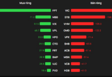 Foreign Block Reverses Flow, Pouring Hundreds of Billions into a Blue-Chip Stock Amid VN-Index’s 20-Point Drop