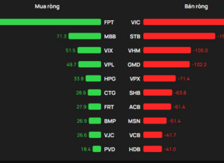 Foreign Block Reverses Flow, Pouring Hundreds of Billions into a Blue-Chip Stock Amid VN-Index’s 20-Point Drop