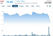German Chemicals Group to Address Recent Stock Plunge?