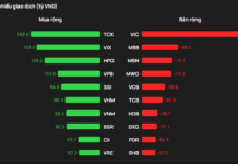 Foreign Investors Pour Nearly 700 Billion VND into HOSE, Aggressively Accumulating Two Securities Stocks in December 15th Session